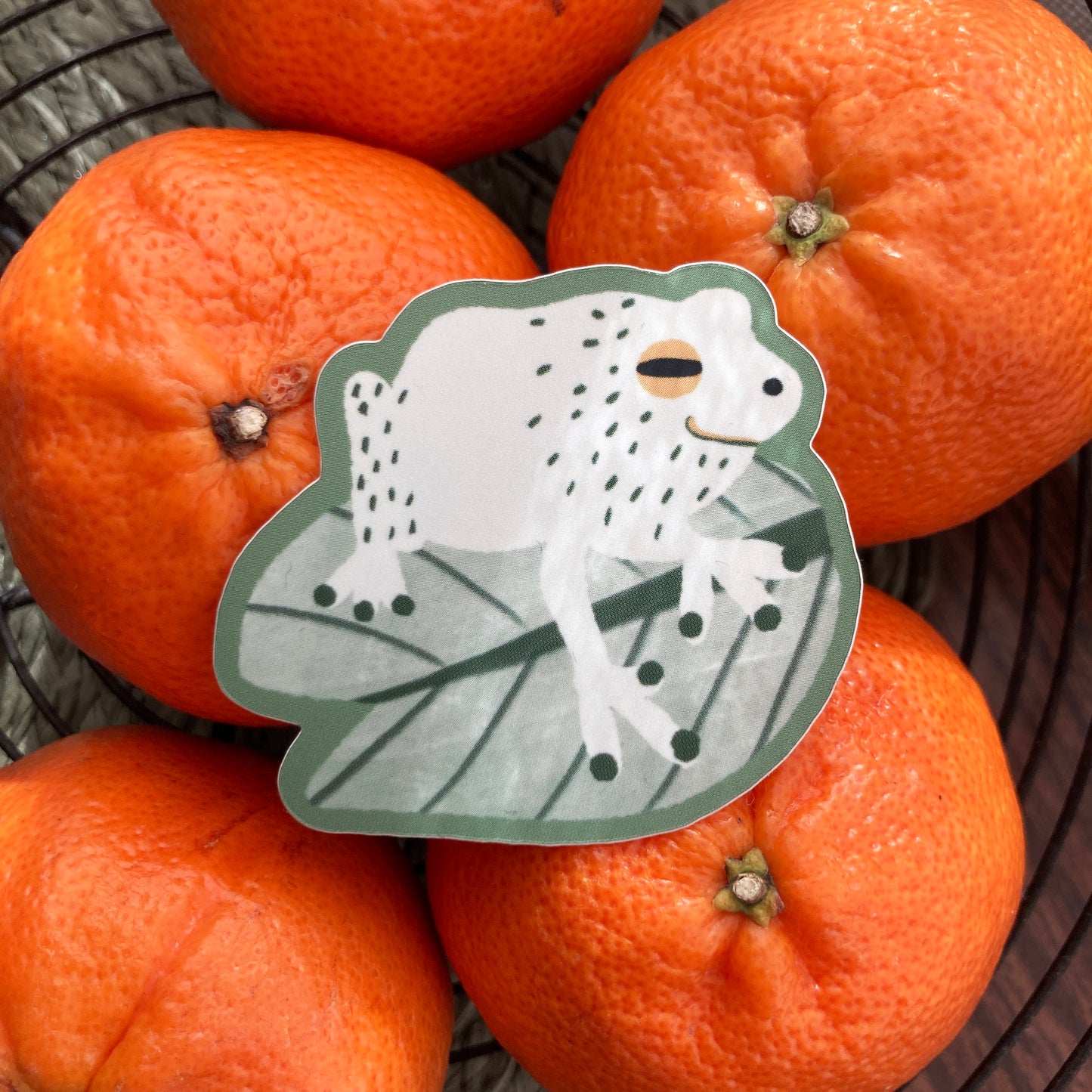 Sticker | Green Frog
