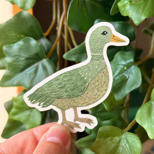 Sticker | Duck