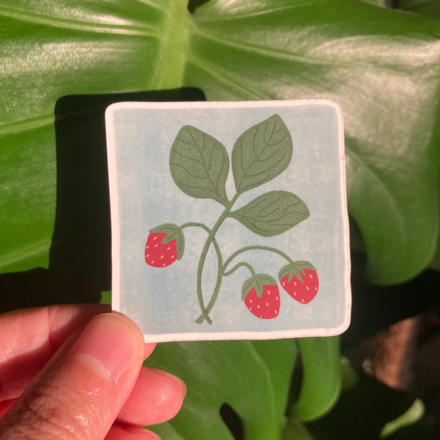 Sticker | Square Strawberry